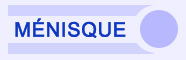 m�nisque