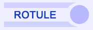 Rotule